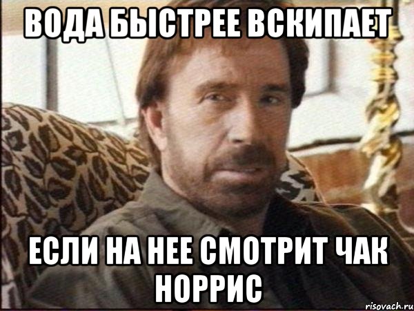 вода быстрее вскипает если на нее смотрит чак норрис, Мем чак норрис