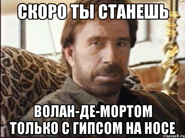 скоро ты станешь волан-де-мортом только с гипсом на носе, Мем чак норрис