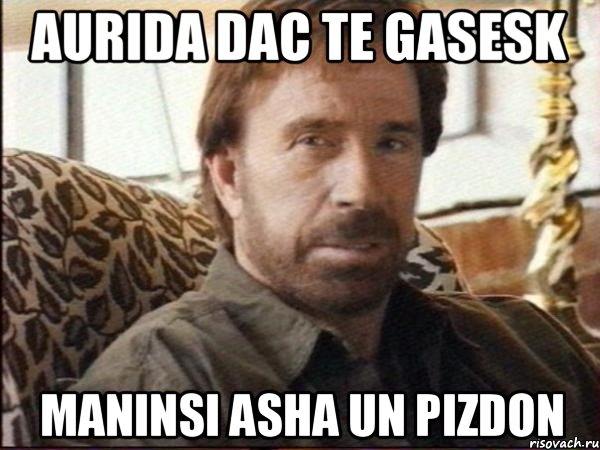 aurida dac te gasesk maninsi asha un pizdon, Мем чак норрис