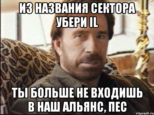 из названия сектора убери il ты больше не входишь в наш альянс, пес, Мем чак норрис