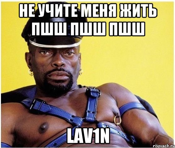 не учите меня жить пшш пшш пшш lav1n, Мем Черный властелин