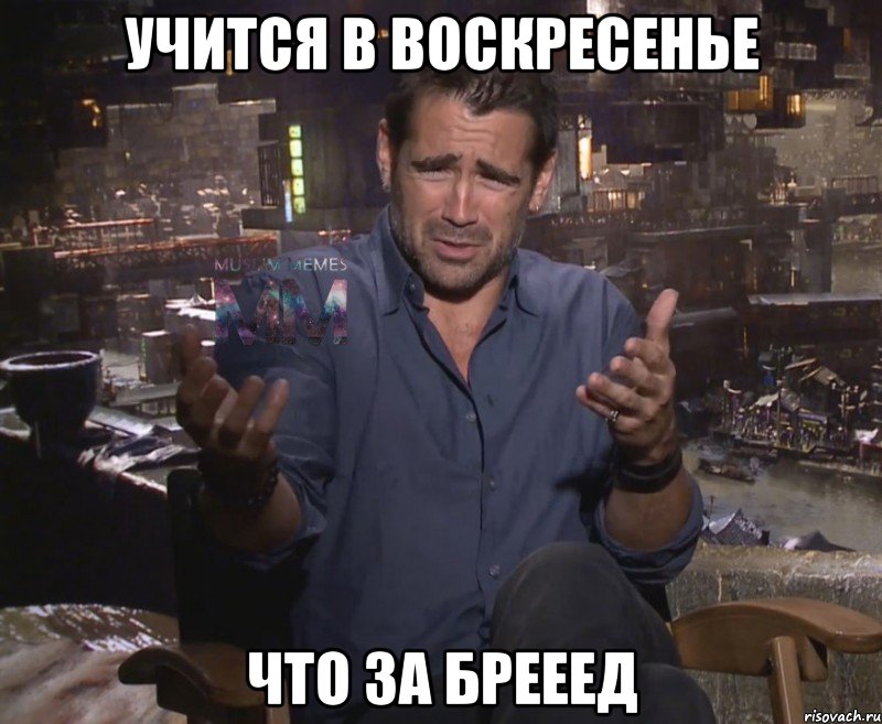 учится в воскресенье что за брееед