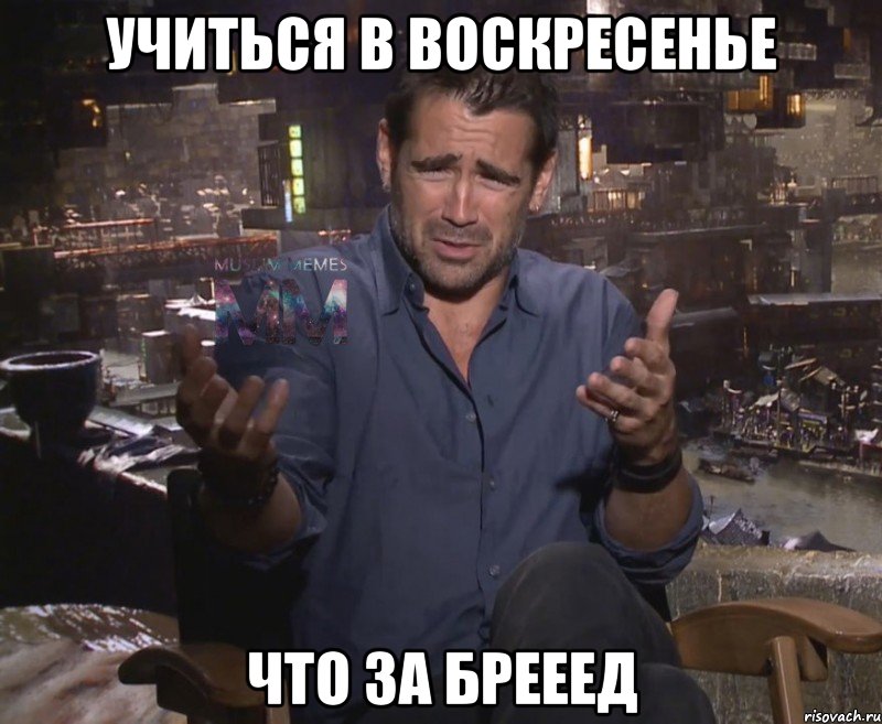 учиться в воскресенье что за брееед