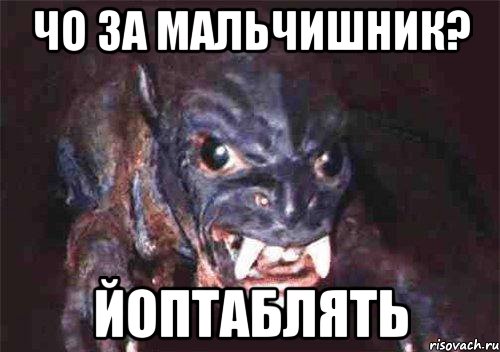 чо за мальчишник? йоптаблять