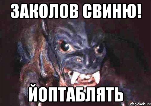 заколов свиню! йоптаблять