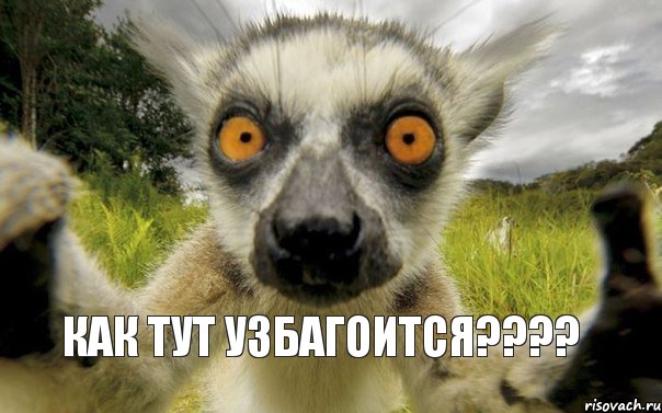 Как тут узбагоится???