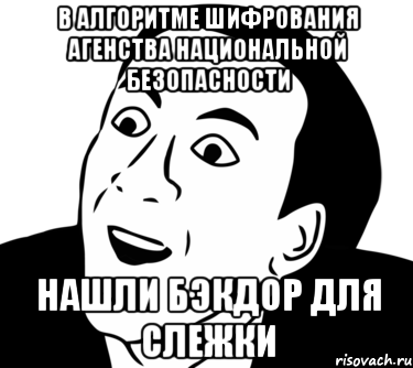 в алгоритме шифрования агенства национальной безопасности нашли бэкдор для слежки