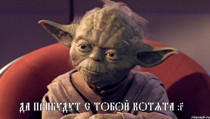 Да прибудут с тобой котята :3, Мем йода