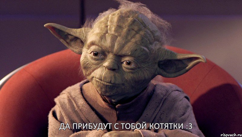 Да прибудут с тобой котятки :3, Мем йода