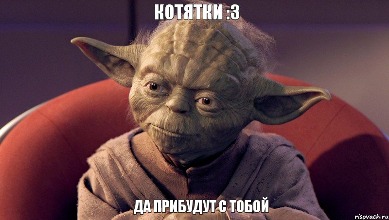 Да прибудут с тобой котятки :3, Мем йода