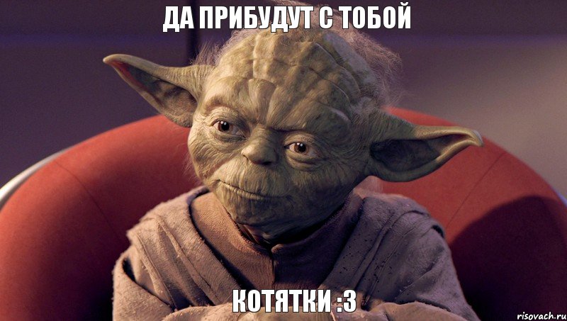 котятки :3 Да прибудут с тобой, Мем йода