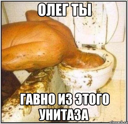 олег ты гавно из этого унитаза, Мем Дайвер