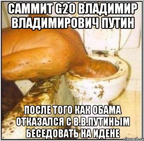 саммит g20 владимир владимирович путин после того как обама отказался с в.в.путиным беседовать на идене, Мем Дайвер