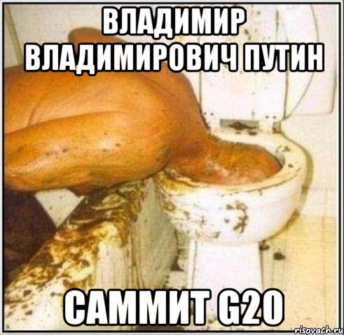 владимир владимирович путин саммит g20, Мем Дайвер