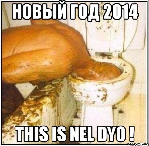 новый год 2014 this is nel dyo !, Мем Дайвер