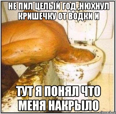 не пил целый год ,нюхнул кришечку от водки и тут я понял что меня накрыло