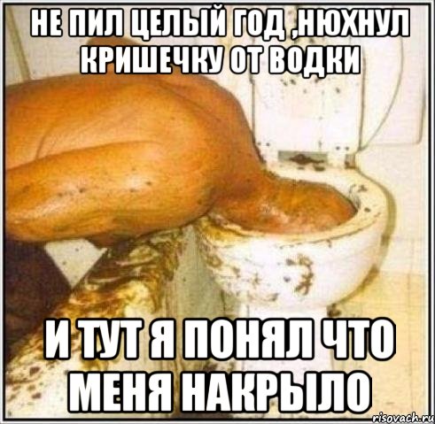 не пил целый год ,нюхнул кришечку от водки и тут я понял что меня накрыло
