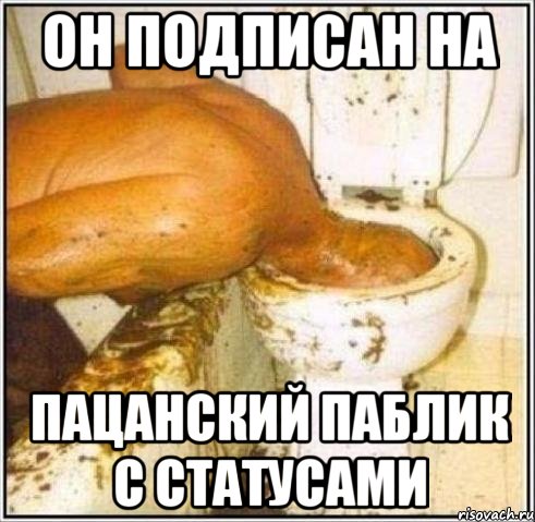 он подписан на пацанский паблик с статусами, Мем Дайвер