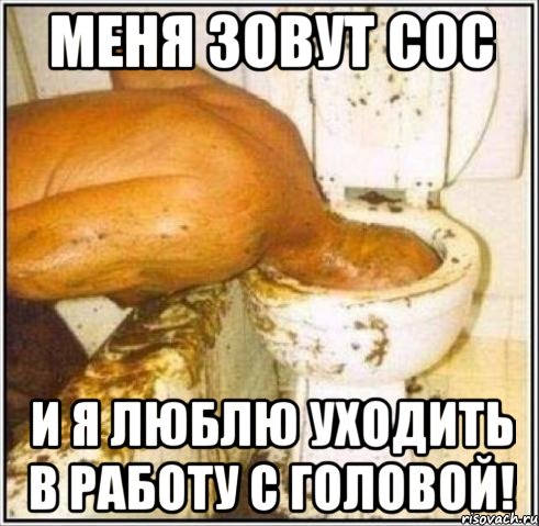 меня зовут сос и я люблю уходить в работу с головой!, Мем Дайвер