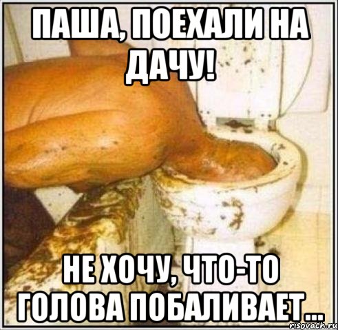 паша, поехали на дачу! не хочу, что-то голова побаливает..., Мем Дайвер