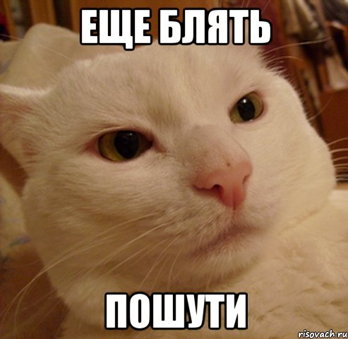 еще блять пошути