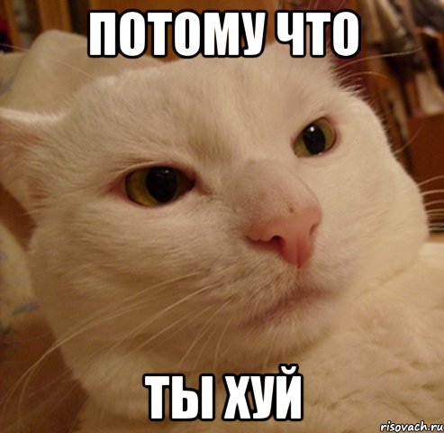 потому что ты хуй