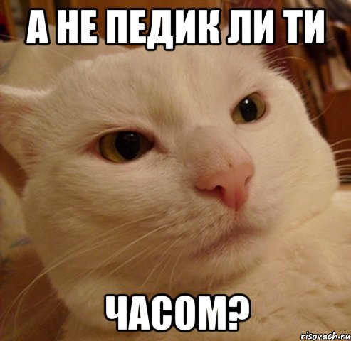 а не педик ли ти часом?, Мем Дерзкий котэ