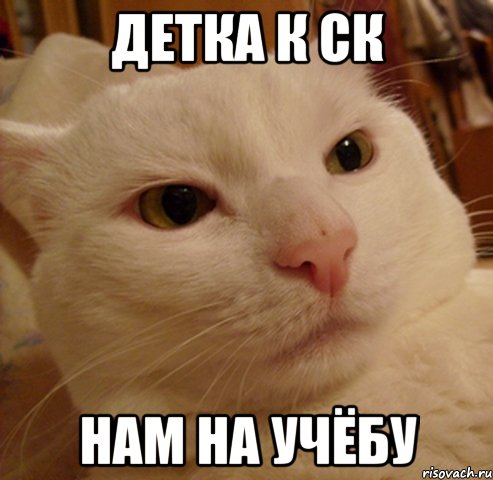 детка к ск нам на учёбу, Мем Дерзкий котэ