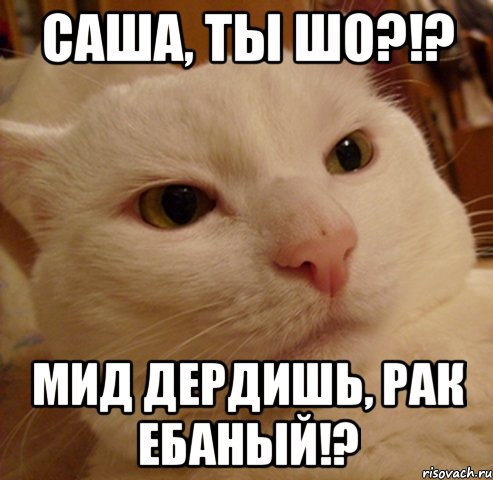 саша, ты шо?!? мид дердишь, рак ебаный!?