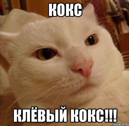 кокс клёвый кокс!!!