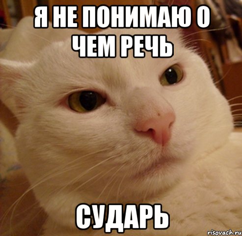 я не понимаю о чем речь сударь
