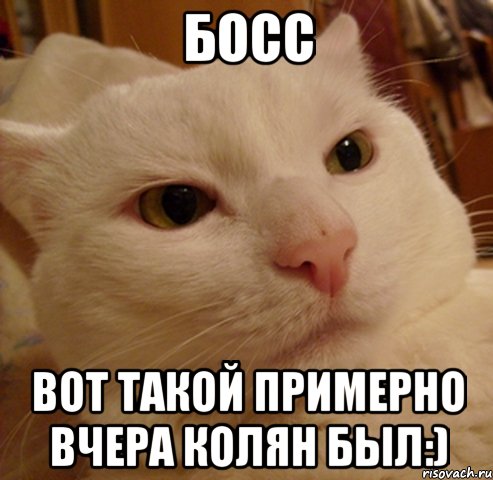 босс вот такой примерно вчера колян был:)