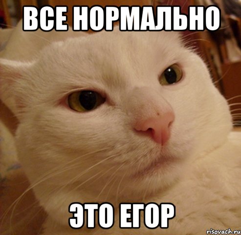 все нормально это егор