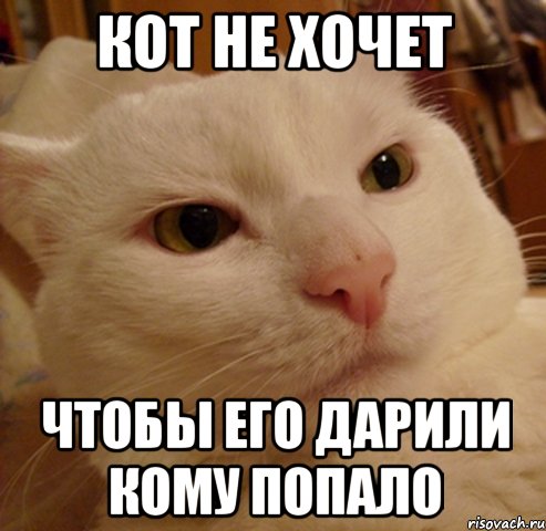 кот не хочет чтобы его дарили кому попало