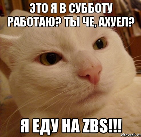 это я в субботу работаю? ты че, ахуел? я еду на zbs!!!