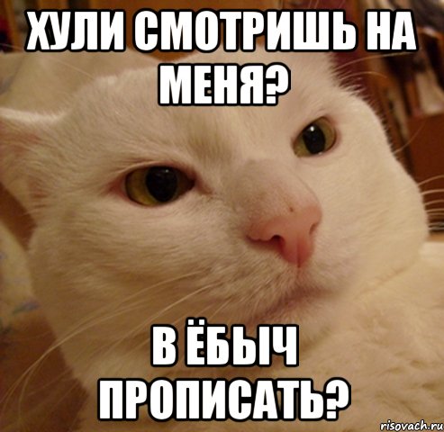 хули смотришь на меня? в ёбыч прописать?