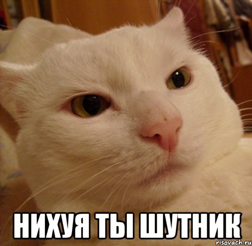  нихуя ты шутник