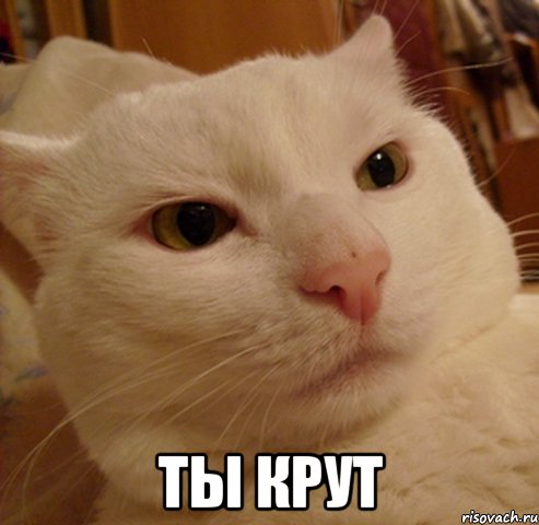  ты крут