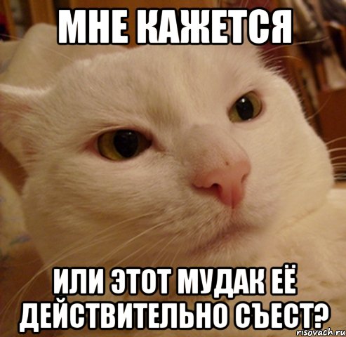 мне кажется или этот мудак её действительно съест?