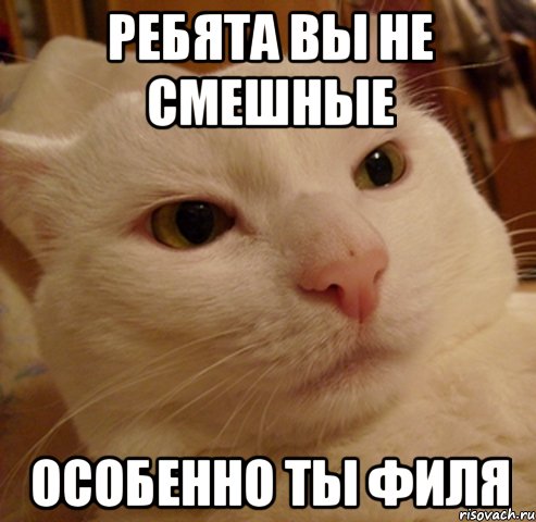 ребята вы не смешные особенно ты филя