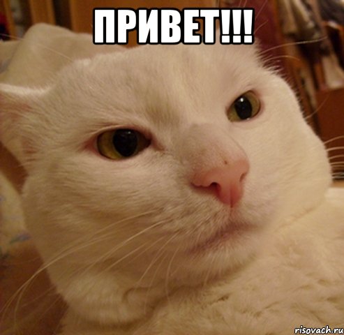 привет!!! 