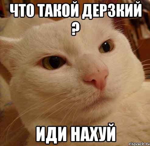 что такой дерзкий ? иди нахуй