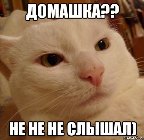 домашка?? не не не слышал)