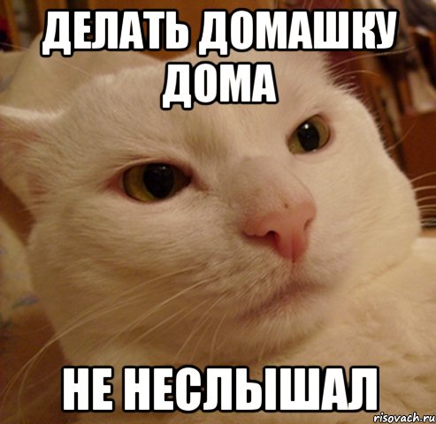 делать домашку дома не неслышал