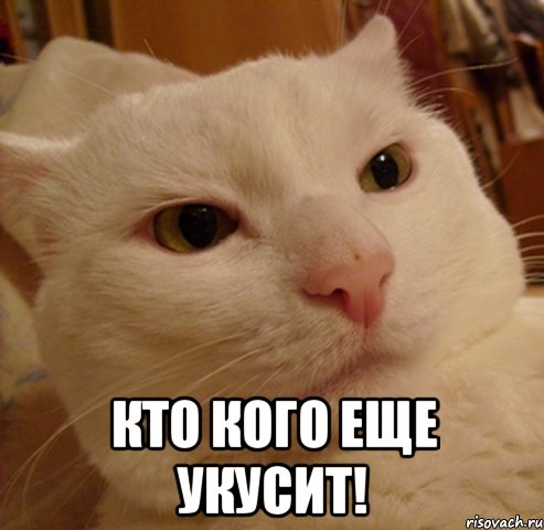  кто кого еще укусит!