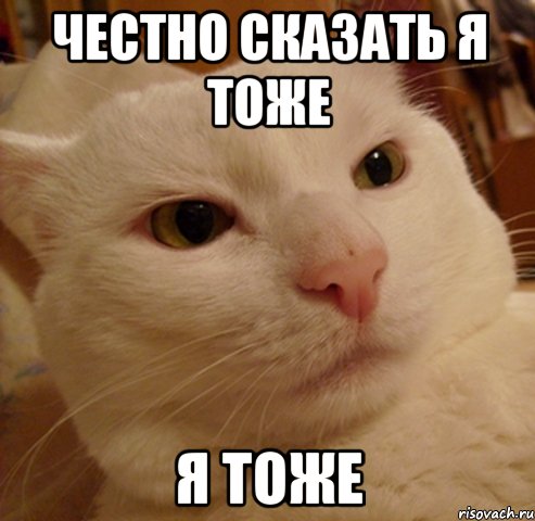 честно сказать я тоже я тоже