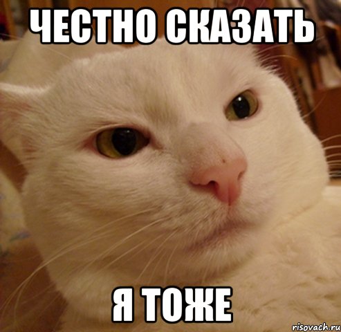 честно сказать я тоже