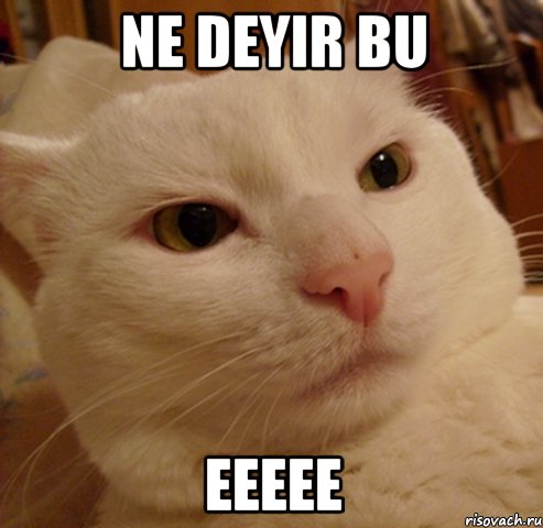 ne deyir bu eeeee