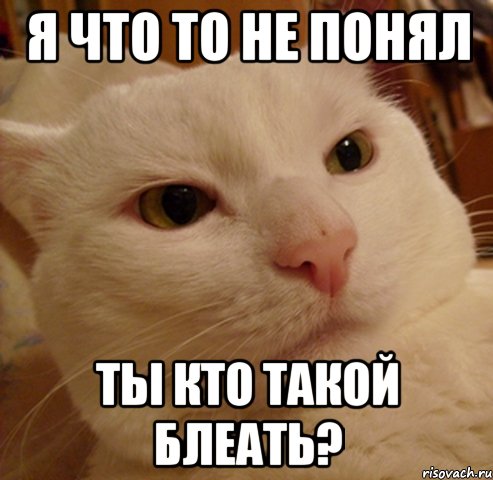 я что то не понял ты кто такой блеать?