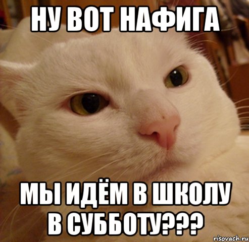 ну вот нафига мы идём в школу в субботу???